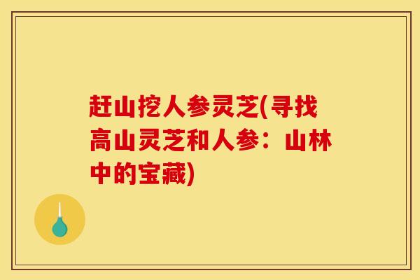 赶山挖人参灵芝(寻找高山灵芝和人参：山林中的宝藏)