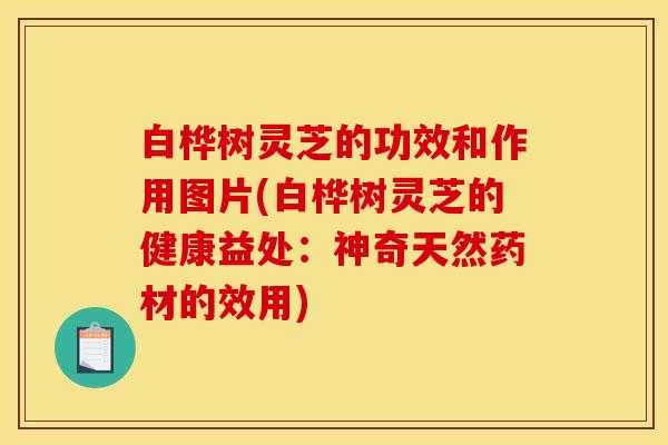 白桦树灵芝的功效和作用图片(白桦树灵芝的健康益处：神奇天然药材的效用)