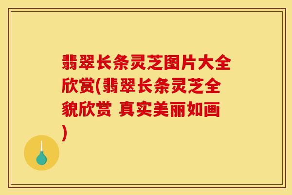 翡翠长条灵芝图片大全欣赏(翡翠长条灵芝全貌欣赏 真实美丽如画)