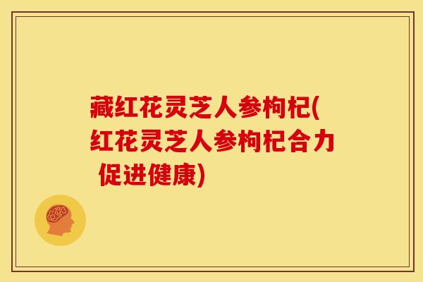 藏红花灵芝人参枸杞(红花灵芝人参枸杞合力 促进健康)
