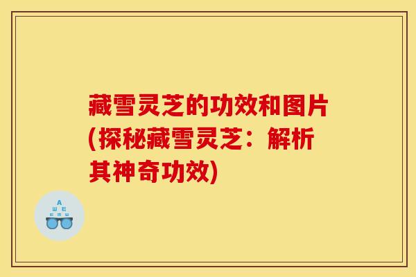 藏雪灵芝的功效和图片(探秘藏雪灵芝:解析其神奇功效)