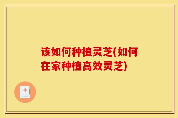 该如何种植灵芝(如何在家种植高效灵芝)