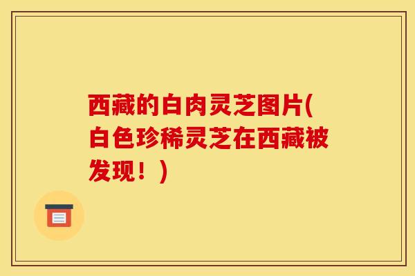 西藏的白肉灵芝图片(白色珍稀灵芝在西藏被发现!)
