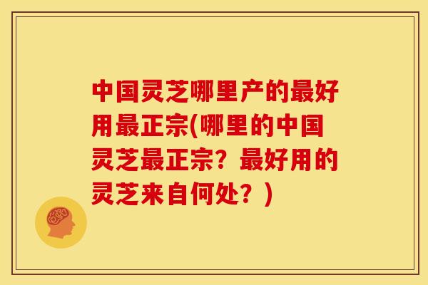 中国灵芝哪里产的最好用最正宗(哪里的中国灵芝最正宗?最好用的灵芝来自何处?)