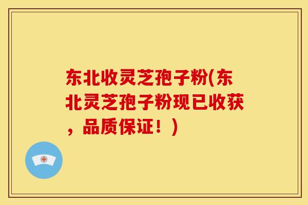东北收灵芝孢子粉(东北灵芝孢子粉现已收获,品质保证!)