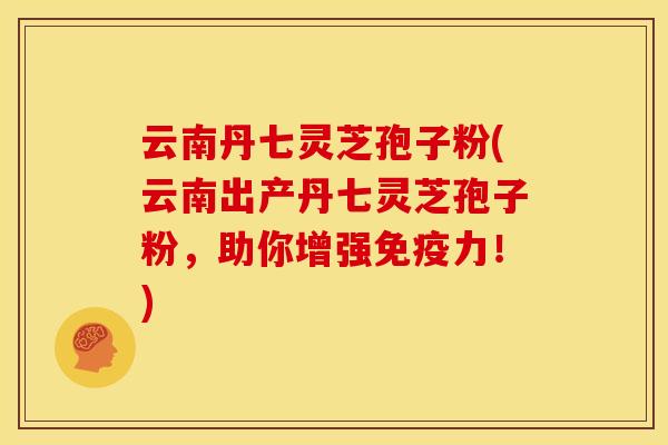 云南丹七灵芝孢子粉(云南出产丹七灵芝孢子粉,助你增强免疫力!)