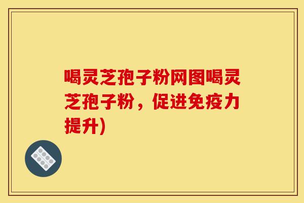 喝灵芝孢子粉网图喝灵芝孢子粉,促进免疫力提升)