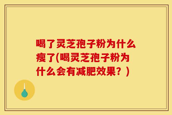 喝了灵芝孢子粉为什么瘦了(喝灵芝孢子粉为什么会有减肥效果？)