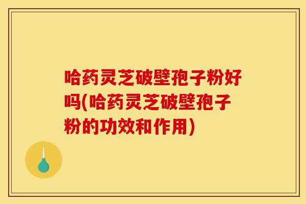 哈药灵芝破壁孢子粉好吗(哈药灵芝破壁孢子粉的功效和作用)