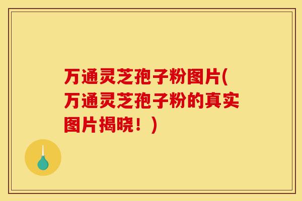 万通灵芝孢子粉图片(万通灵芝孢子粉的真实图片揭晓!)