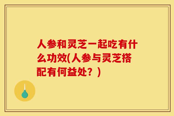 人参和灵芝一起吃有什么功效(人参与灵芝搭配有何益处?)