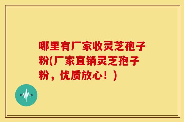 哪里有厂家收灵芝孢子粉(厂家直销灵芝孢子粉,优质放心!)