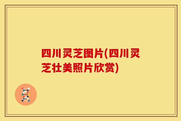 四川灵芝图片(四川灵芝壮美照片欣赏)