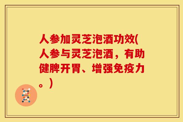 人参加灵芝泡酒功效(人参与灵芝泡酒,有助健脾开胃、增强免疫力。)