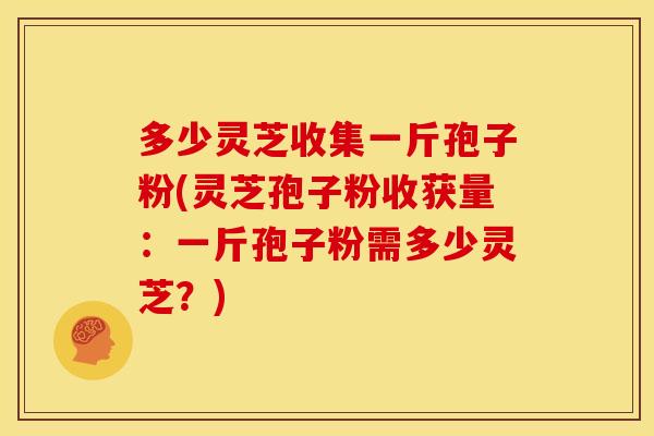 多少灵芝收集一斤孢子粉(灵芝孢子粉收获量:一斤孢子粉需多少灵芝?)