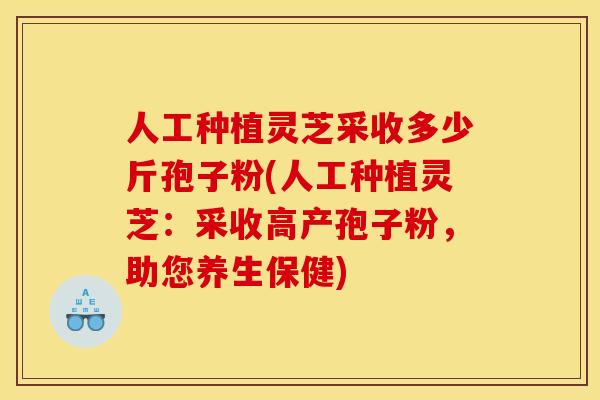 人工种植灵芝采收多少斤孢子粉(人工种植灵芝：采收高产孢子粉，助您养生保健)