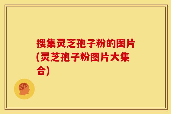 搜集灵芝孢子粉的图片(灵芝孢子粉图片大集合)