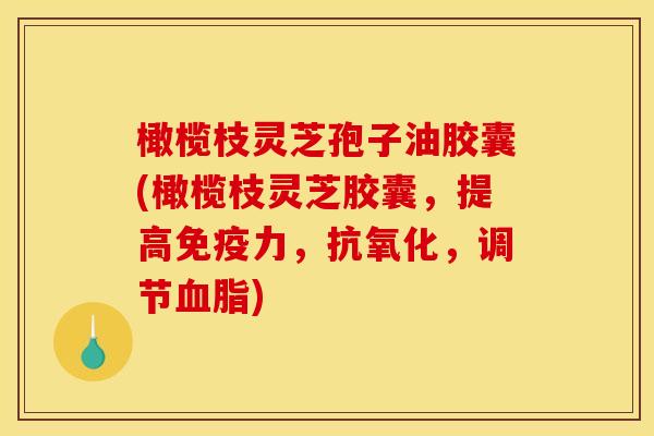 橄榄枝灵芝孢子油胶囊(橄榄枝灵芝胶囊,提高免疫力,抗氧化,调节血脂)