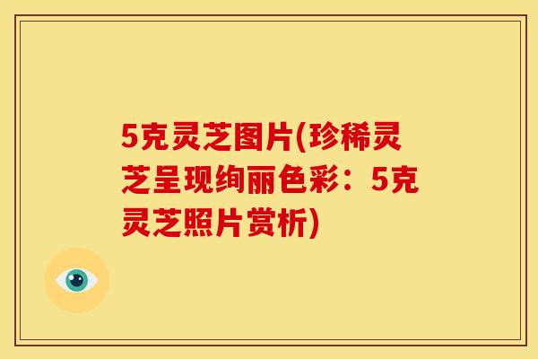 5克灵芝图片(珍稀灵芝呈现绚丽色彩:5克灵芝照片赏析)