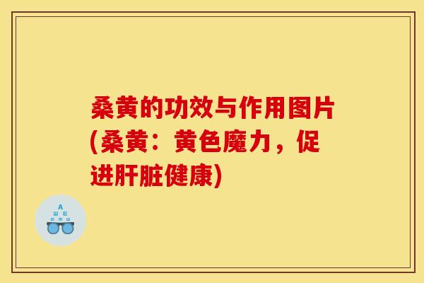 桑黄的功效与作用图片(桑黄：黄色魔力，促进肝脏健康)