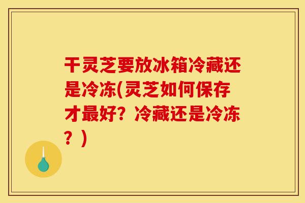干灵芝要放冰箱冷藏还是冷冻(灵芝如何保存才最好？冷藏还是冷冻？)