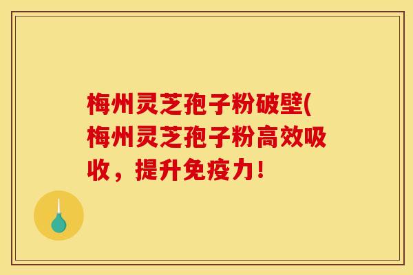 梅州灵芝孢子粉破壁(梅州灵芝孢子粉高效吸收，提升免疫力！