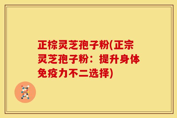 正棕灵芝孢子粉(正宗灵芝孢子粉:提升身体免疫力不二选择)