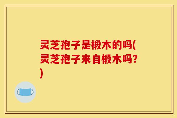 灵芝孢子是椴木的吗(灵芝孢子来自椴木吗？)