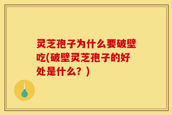 灵芝孢子为什么要破壁吃(破壁灵芝孢子的好处是什么?)