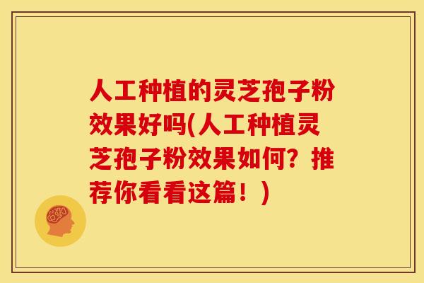 人工种植的灵芝孢子粉效果好吗(人工种植灵芝孢子粉效果如何？推荐你看看这篇！)