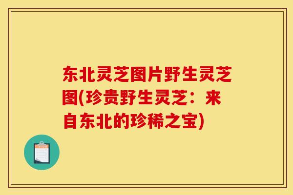 东北灵芝图片野生灵芝图(珍贵野生灵芝:来自东北的珍稀之宝)