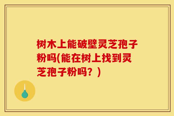 树木上能破壁灵芝孢子粉吗(能在树上找到灵芝孢子粉吗?)