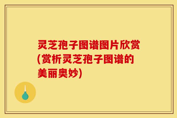 灵芝孢子图谱图片欣赏(赏析灵芝孢子图谱的美丽奥妙)