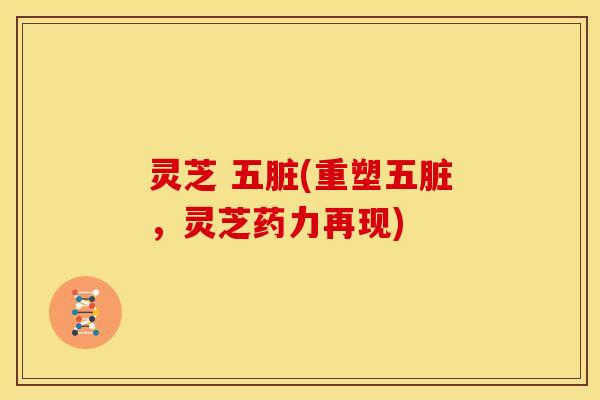 灵芝 五脏(重塑五脏，灵芝药力再现)