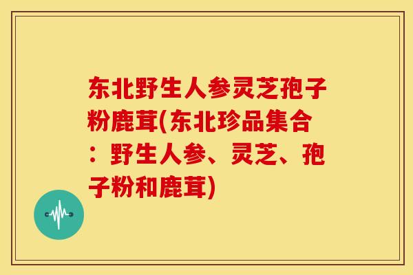 东北野生人参灵芝孢子粉鹿茸(东北珍品集合：野生人参、灵芝、孢子粉和鹿茸)