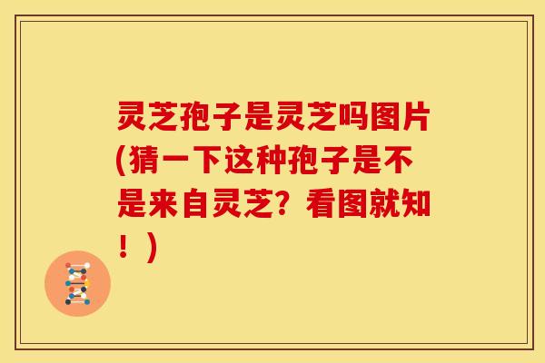 灵芝孢子是灵芝吗图片(猜一下这种孢子是不是来自灵芝?看图就知!)