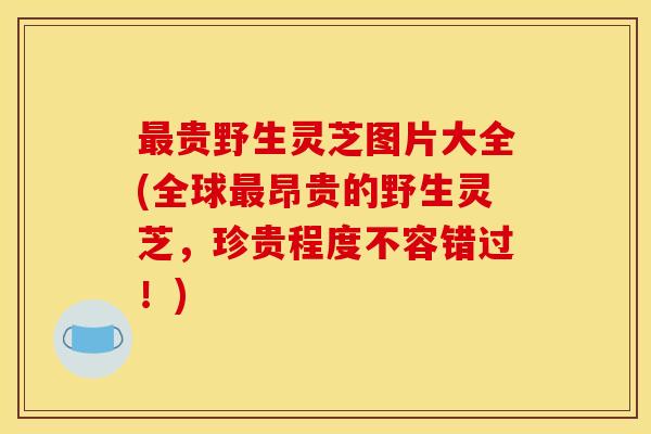 最贵野生灵芝图片大全(全球最昂贵的野生灵芝,珍贵程度不容错过!)