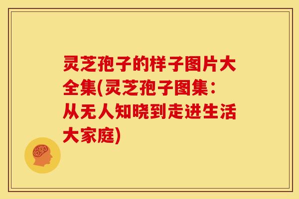 灵芝孢子的样子图片大全集(灵芝孢子图集:从无人知晓到走进生活大家庭)