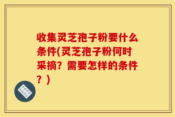 收集灵芝孢子粉要什么条件(灵芝孢子粉何时采摘?需要怎样的条件?)