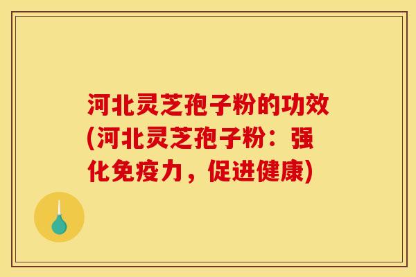 河北灵芝孢子粉的功效(河北灵芝孢子粉:强化免疫力,促进健康)