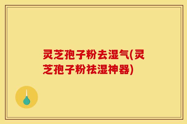灵芝孢子粉去湿气(灵芝孢子粉祛湿神器)