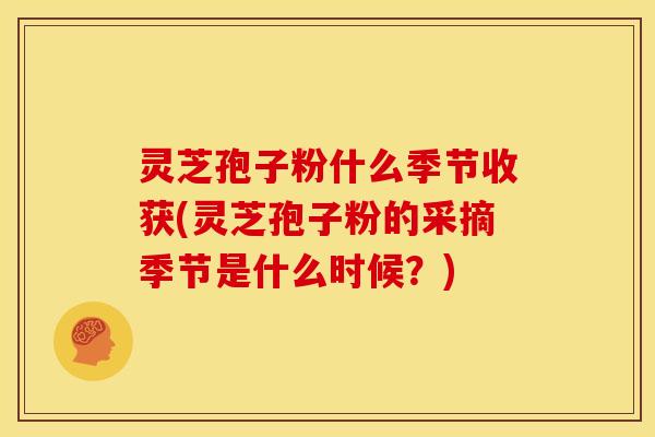 灵芝孢子粉什么季节收获(灵芝孢子粉的采摘季节是什么时候？)