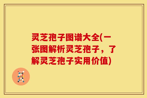 灵芝孢子图谱大全(一张图解析灵芝孢子，了解灵芝孢子实用价值)