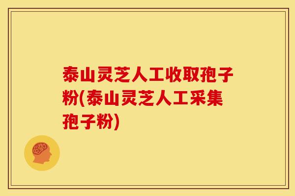 泰山灵芝人工收取孢子粉(泰山灵芝人工采集孢子粉)