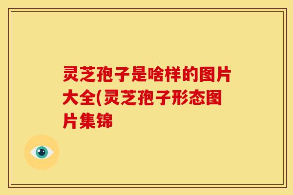 灵芝孢子是啥样的图片大全(灵芝孢子形态图片集锦
