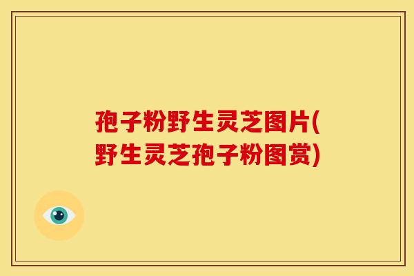 孢子粉野生灵芝图片(野生灵芝孢子粉图赏)