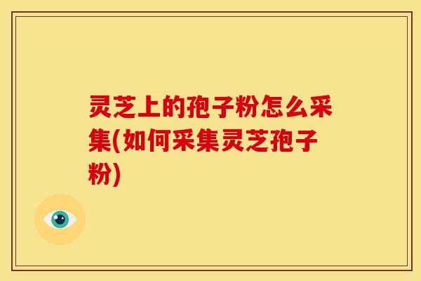 灵芝上的孢子粉怎么采集(如何采集灵芝孢子粉)
