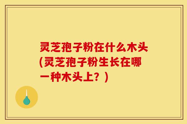 灵芝孢子粉在什么木头(灵芝孢子粉生长在哪一种木头上?)