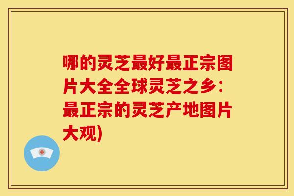 哪的灵芝最好最正宗图片大全全球灵芝之乡:最正宗的灵芝产地图片大观)