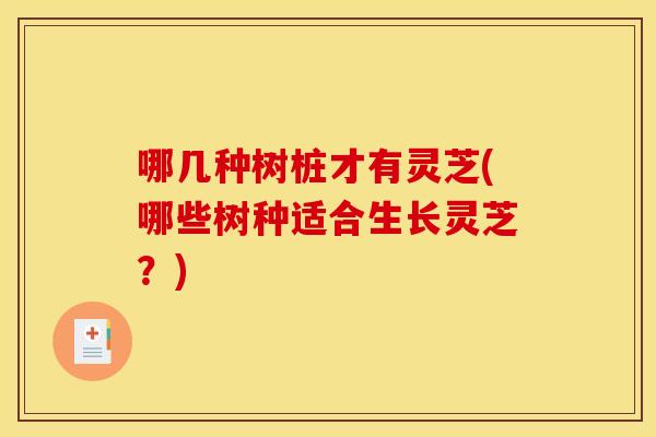 哪几种树桩才有灵芝(哪些树种适合生长灵芝?)